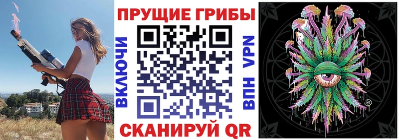 Галлюциногенные грибы Psilocybe Духовщина